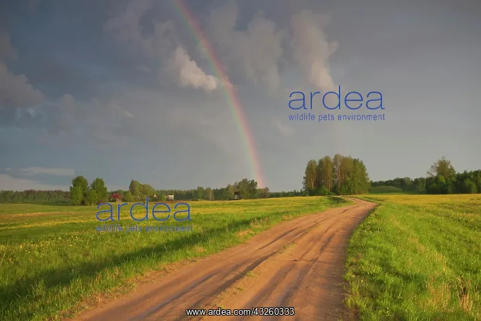 : Latvia, Northeastern Latvia, Vidzeme Region : Latvia, Northeastern Latvia, Vidzeme Region