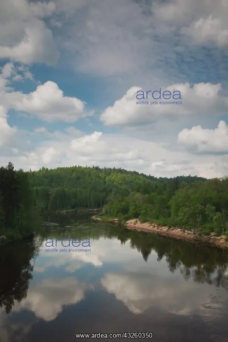 : Latvia, Northeastern Latvia, Vidzeme Region : Latvia, Northeastern Latvia, Vidzeme Region