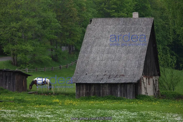 : Latvia, Northeastern Latvia, Vidzeme Region : Latvia, Northeastern Latvia, Vidzeme Region