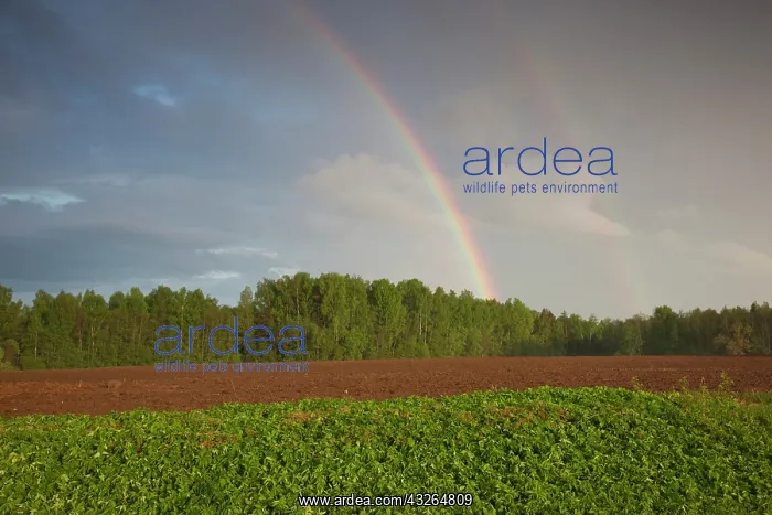 : Latvia, Northeastern Latvia, Vidzeme Region : Latvia, Northeastern Latvia, Vidzeme Region