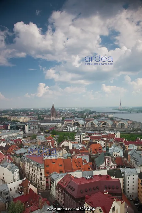 : Latvia, Riga, Old Riga, Vecriga, elevated : Latvia, Riga, Old Riga, Vecriga, elevated