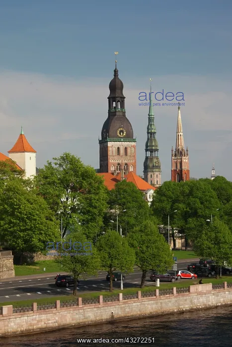 : Latvia, Riga, Old Riga, Vecriga, view of : Latvia, Riga, Old Riga, Vecriga, view of