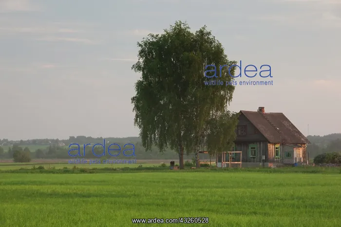 : Latvia, Riga, Southeastern Latvia, Latgale : Latvia, Riga, Southeastern Latvia, Latgale