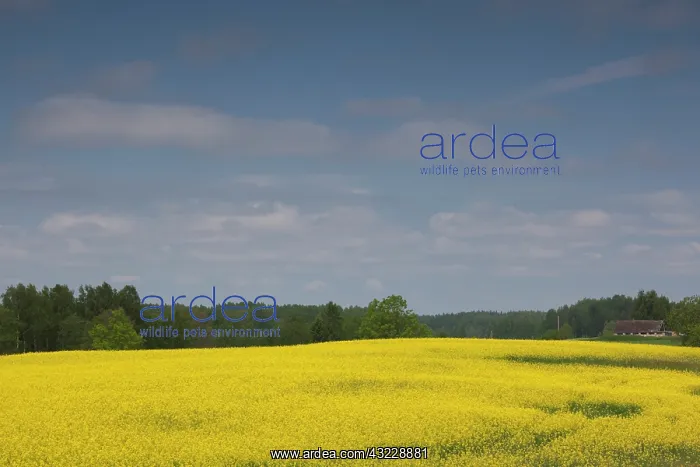 : Latvia, Western Latvia, Kurzeme Region : Latvia, Western Latvia, Kurzeme Region