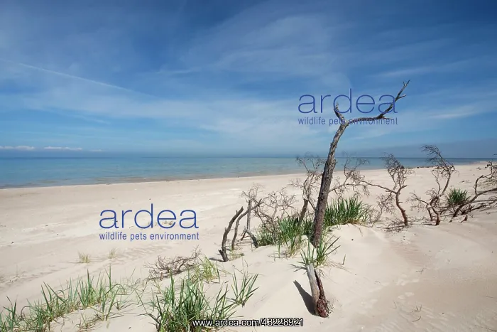 : Latvia, Western Latvia, Kurzeme Region : Latvia, Western Latvia, Kurzeme Region