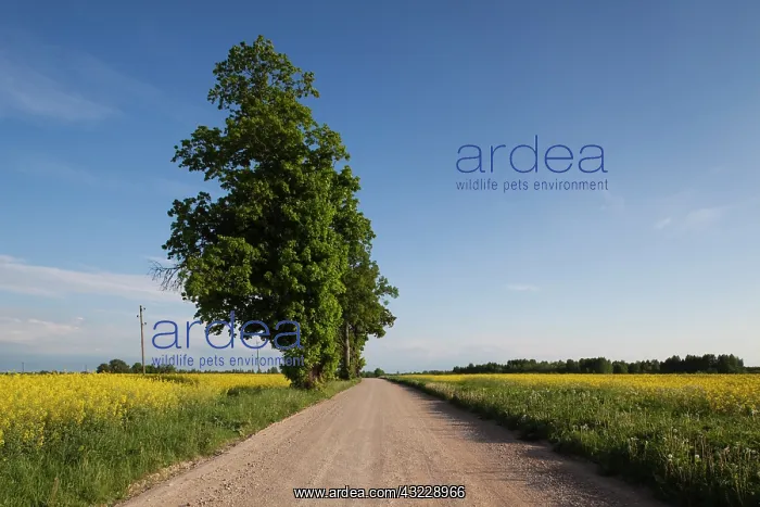 : Latvia, Western Latvia, Kurzeme Region : Latvia, Western Latvia, Kurzeme Region