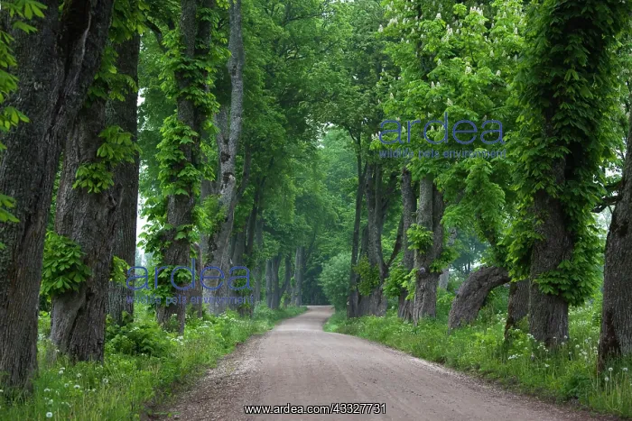 : Latvia, Western Latvia, Kurzeme Region : Latvia, Western Latvia, Kurzeme Region