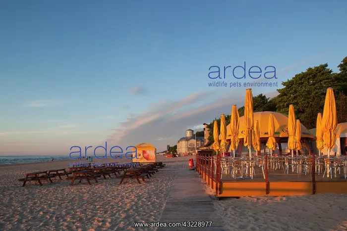 : Latvia, Western Latvia, Riga Area, Jurmala : Latvia, Western Latvia, Riga Area, Jurmala