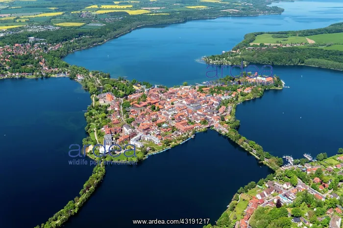 : Lauenburg Lakes nature Park, Ratzeburg Lake, island : Lauenburg Lakes nature Park, Ratzeburg Lake, island