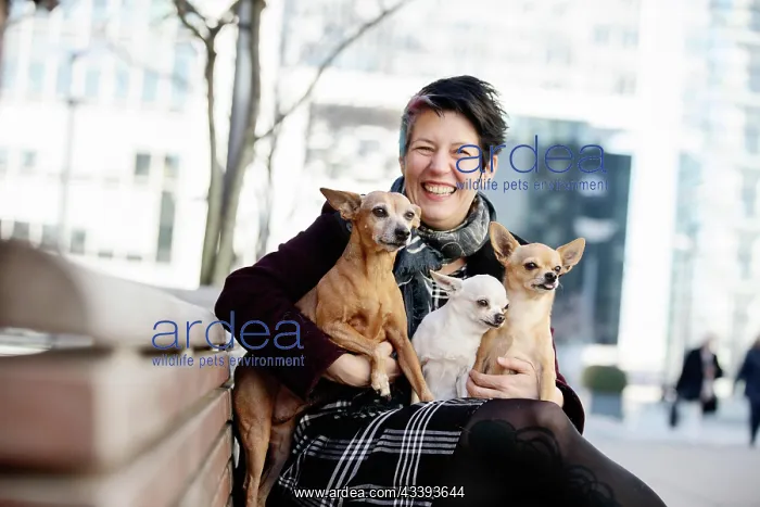  : Laughing woman with three dogs on her lap, a Min