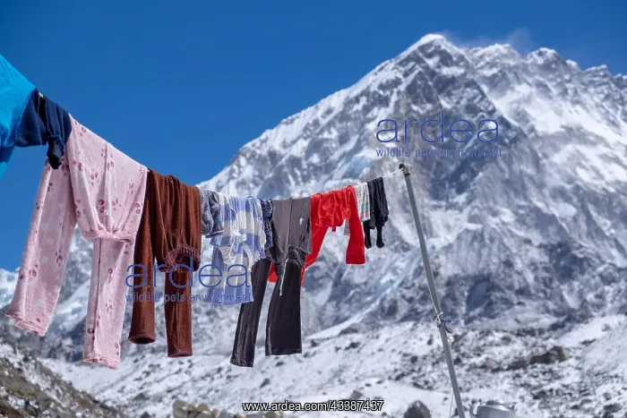 : Laundry drying on a clothesline, in the background : Laundry drying on a clothesline, in the background