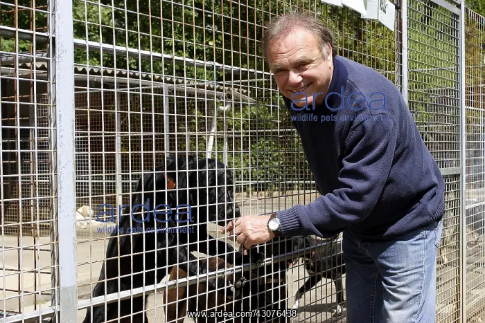 : Laurent Cabrol visit to the refuge of the SPA : Laurent Cabrol visit to the refuge of the SPA