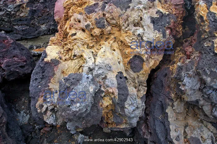  : Lava. Bartolome Island - Galapagos Islands