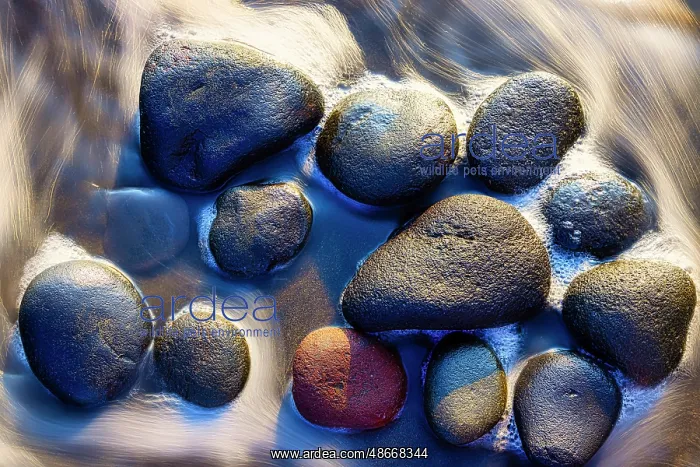 : Lava beach rocks worn by centuries of sea water cover the : Lava beach rocks worn by centuries of sea water cover the