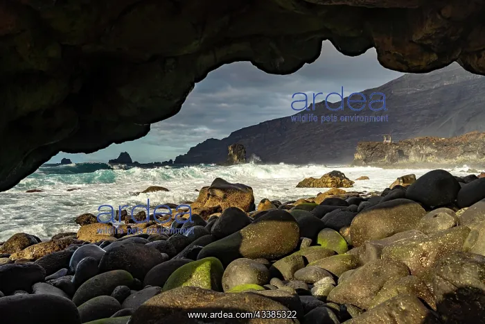 : Lava cave on the coast near La Maceta, El Hierro : Lava cave on the coast near La Maceta, El Hierro