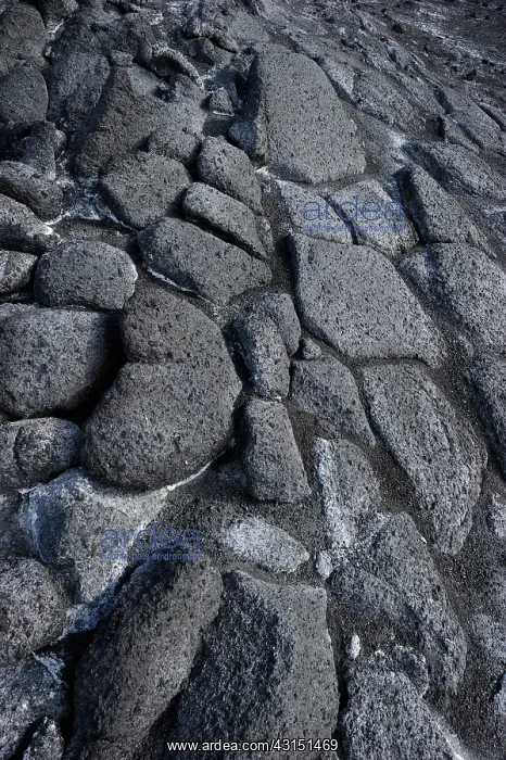: lava close up : lava close up