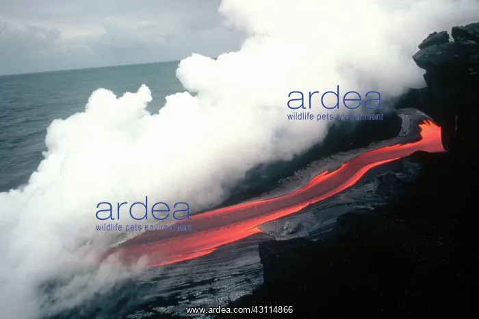 : Lava Enters the Sea, Kilauea, Hawaii : Lava Enters the Sea, Kilauea, Hawaii