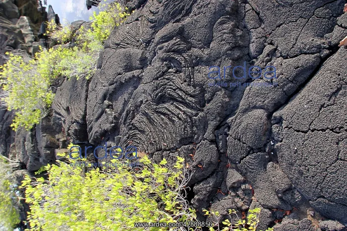 : Lava Flow. Grande Comore, Mayotte, Indian Ocean : Lava Flow. Grande Comore, Mayotte, Indian Ocean