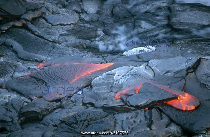 : Lava Flow, Kilauea, Hawaii : Lava Flow, Kilauea, Hawaii
