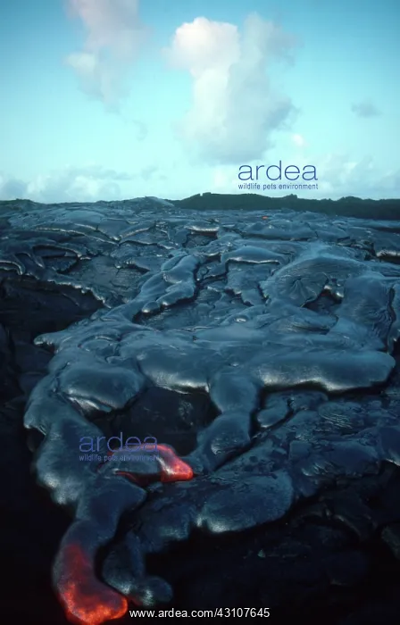 : Lava Flow, Kilauea, Hawaii : Lava Flow, Kilauea, Hawaii