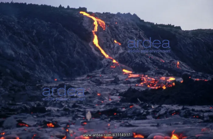 : Lava Flow, Kilauea, Hawaii : Lava Flow, Kilauea, Hawaii