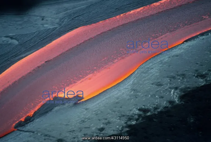 : Lava Flow, Kilauea, Hawaii : Lava Flow, Kilauea, Hawaii