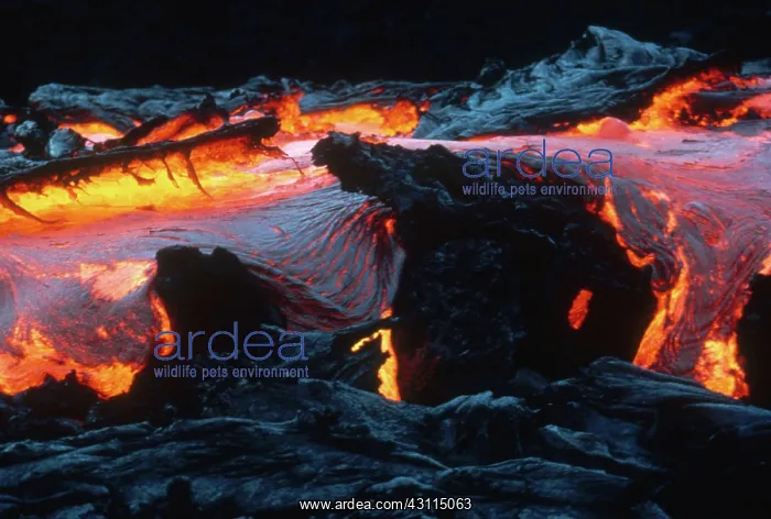 : Lava Flow, Kilauea, Hawaii : Lava Flow, Kilauea, Hawaii