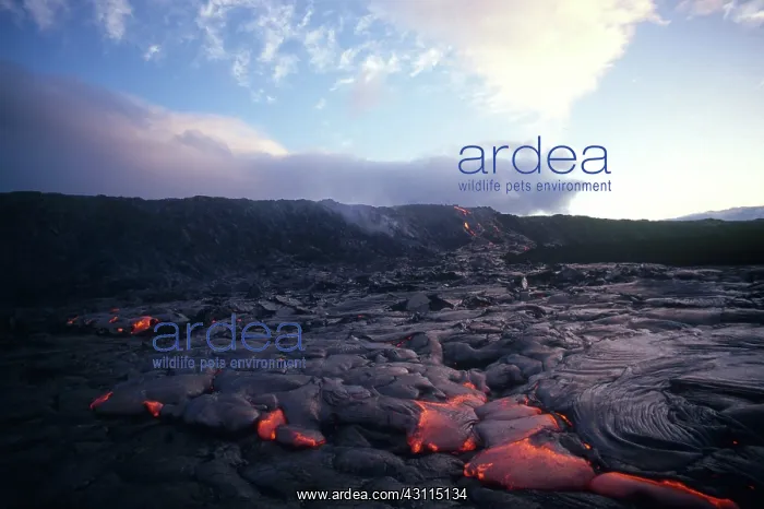 : Lava Flow, Kilauea, Hawaii : Lava Flow, Kilauea, Hawaii