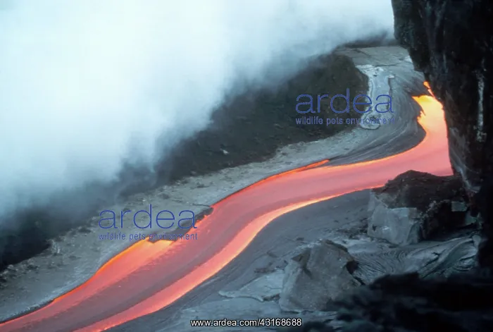 : Lava Flow, Kilauea, Hawaii : Lava Flow, Kilauea, Hawaii