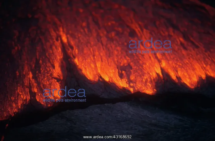 : Lava Flow, Kilauea, Hawaii : Lava Flow, Kilauea, Hawaii