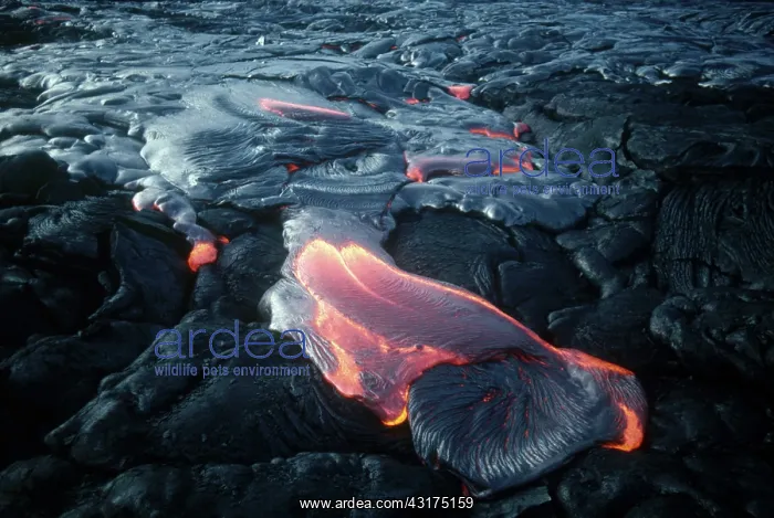 : Lava Flow, Kilauea, Hawaii : Lava Flow, Kilauea, Hawaii