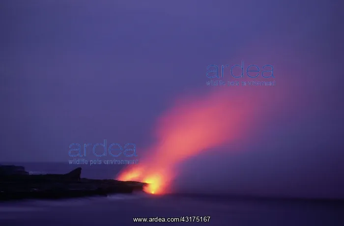 : Lava Flow, Kilauea, Hawaii : Lava Flow, Kilauea, Hawaii
