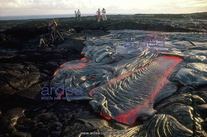 : Lava Flow, Kilauea Volcano, Hawaii : Lava Flow, Kilauea Volcano, Hawaii