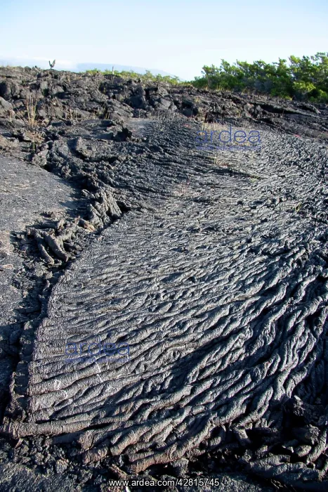 : Lava flow Moreno Point Isabela Island Galapagos Islands UNES : Lava flow Moreno Point Isabela Island Galapagos Islands UNES