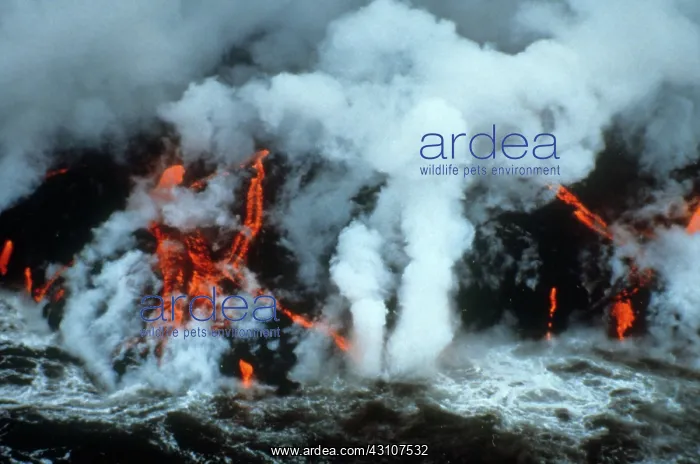 : Lava Flows into the Sea, Kilauea, Hawaii : Lava Flows into the Sea, Kilauea, Hawaii