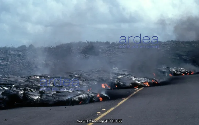 : Lava on Road, Kalapana, Hawaii : Lava on Road, Kalapana, Hawaii