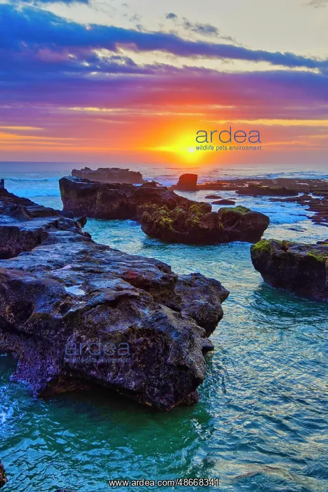 : Lava Rock outcroppings in the shallow seas at Cemagi Beach : Lava Rock outcroppings in the shallow seas at Cemagi Beach