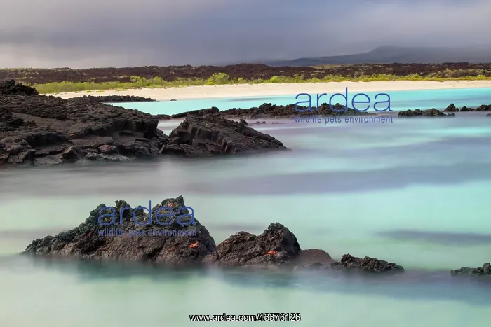 : Lava rocks along tranquil shoreline of San Cristobal : Lava rocks along tranquil shoreline of San Cristobal