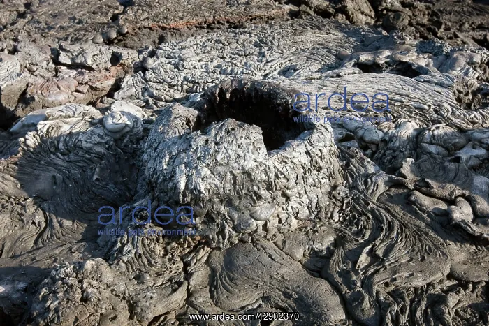  : Lava. Santiago Island - Galapagos island