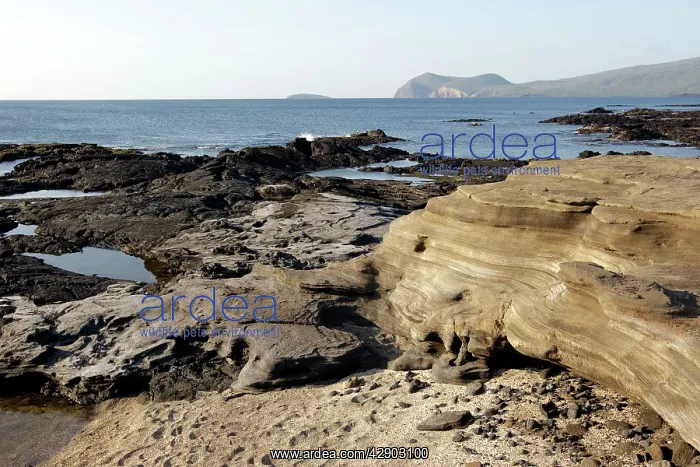  : Lava. Santiago Island - Galapagos island