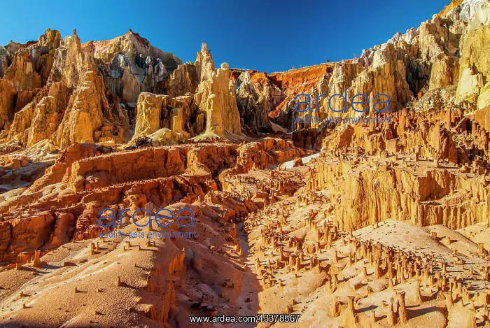 : Lavaka of Ankarokaroka, a unique moon-like landscape : Lavaka of Ankarokaroka, a unique moon-like landscape