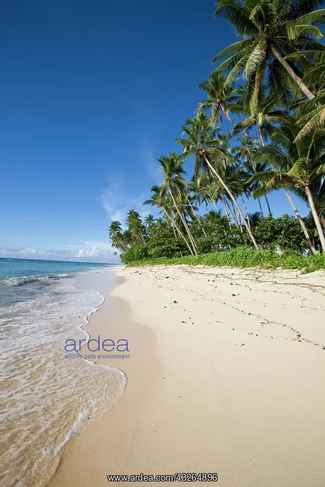 : Lavena Beach, Taveuni, Fiji : Lavena Beach, Taveuni, Fiji