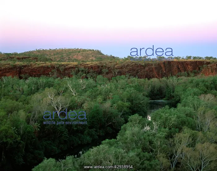 : Lawn Hill Creek in Boodjamulla (Lawn Hill) National : Lawn Hill Creek in Boodjamulla (Lawn Hill) National