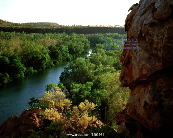 : Lawn Hill Creek in Boodjamulla (Lawn Hill) National : Lawn Hill Creek in Boodjamulla (Lawn Hill) National
