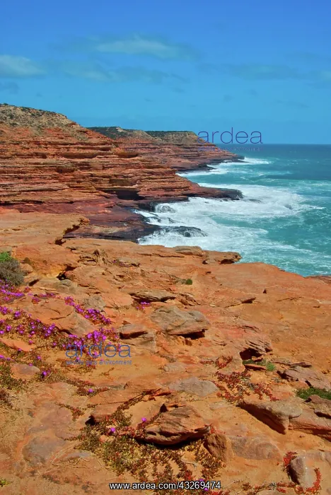 : Layered cliffs of red rock rise up from : Layered cliffs of red rock rise up from
