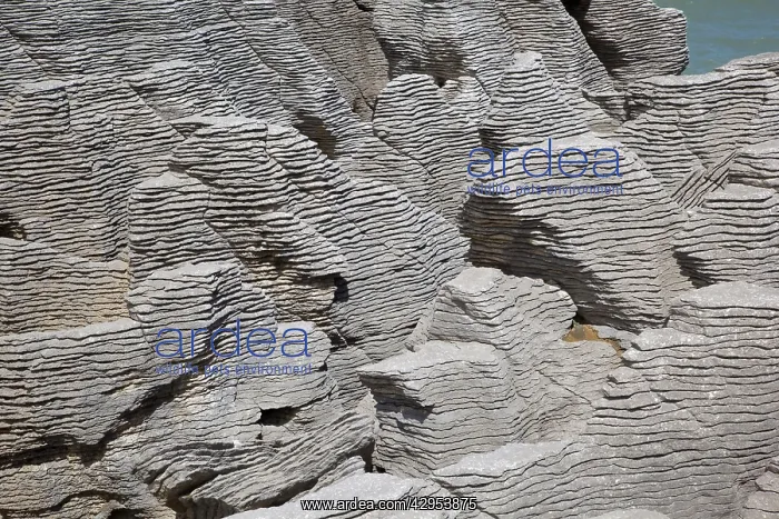 : Layered Limestone - Punakaiki : Layered Limestone - Punakaiki