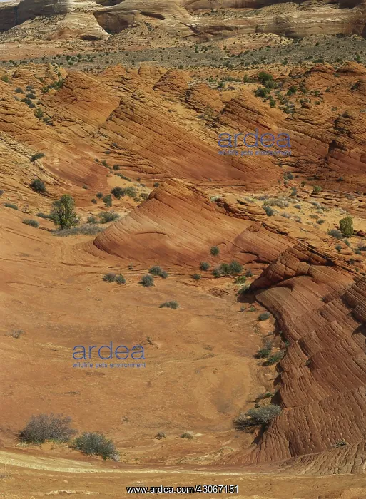 : Layered Sandstone : Layered Sandstone