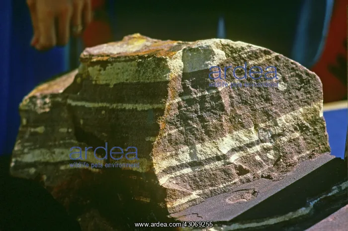 : Layered Sandstone : Layered Sandstone