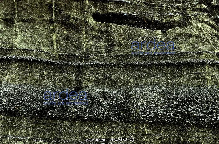 : Layered ultramafic, Duke Island, Alaska : Layered ultramafic, Duke Island, Alaska