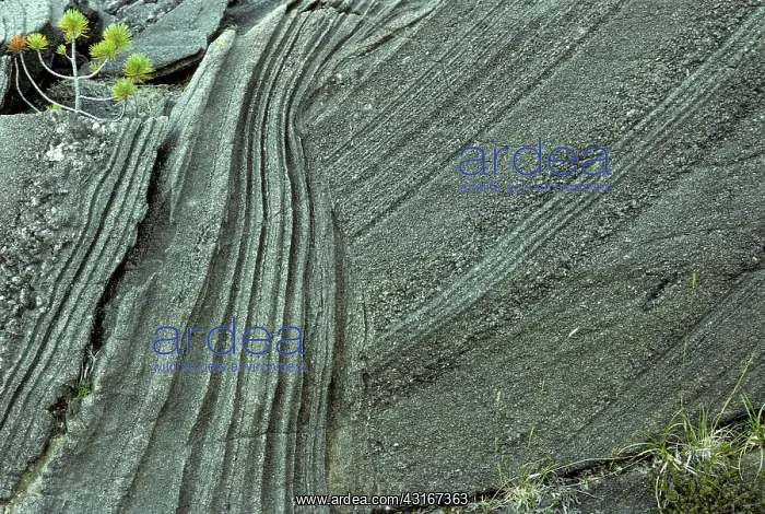 : Layered ultramafic, Duke Island, Alaska : Layered ultramafic, Duke Island, Alaska